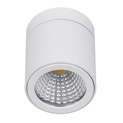LED plafonska lampa LDA-07-3R W-Cormel-FORMA