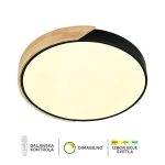 LED plafonska lampa F2811-16C BK-Cormel-FORMA