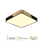 Plafonska lampa F2812-20C BK+WD-Cormel-FORMA