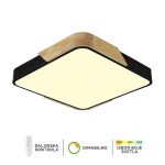 Plafonska lampa F2812-30C BK+WD-Cormel-FORMA