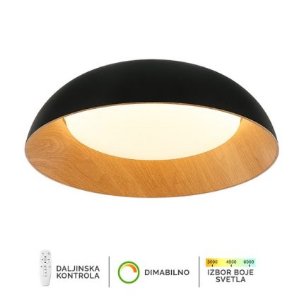LED plafonska lampa FK2005-66C BK-Cormel-FORMA