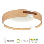 LED plafonska lampa F2097-63C WH+WD-Cormel-FORMA