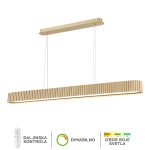 LED viseća lampa F2095-100VL SG